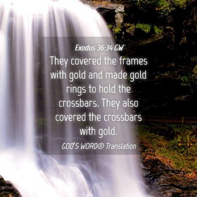 Picture 04 - Exodus 36:34 GW - They covered the frames with gold and made gold - Bible Verse Picture