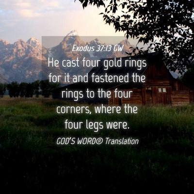 Picture 04 - Exodus 37:13 GW - He cast four gold rings for it and fastened the - Bible Verse Picture