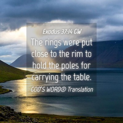 Picture 04 - Exodus 37:14 GW - The rings were put close to the rim to hold the - Bible Verse Picture