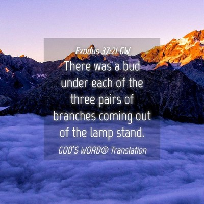 Picture 04 - Exodus 37:21 GW - There was a bud under each of the three pairs of - Bible Verse Picture