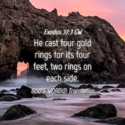Picture 04 - Exodus 37:3 GW - He cast four gold rings for its four feet, two - Bible Verse Picture