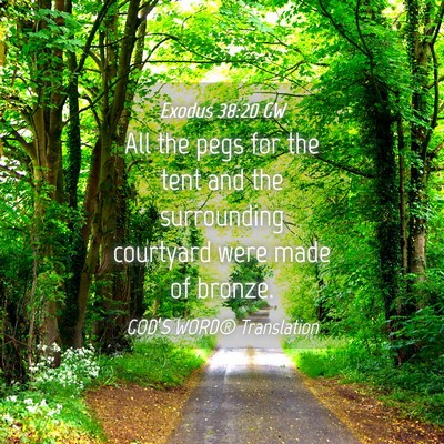 Picture 04 - Exodus 38:20 GW - All the pegs for the tent and the surrounding - Bible Verse Picture