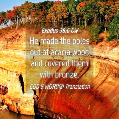 Picture 04 - Exodus 38:6 GW - He made the poles out of acacia wood and covered - Bible Verse Picture