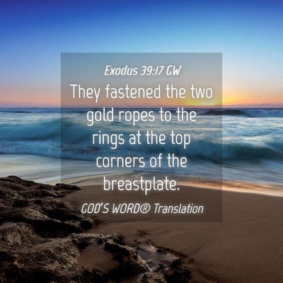 Picture 04 - Exodus 39:17 GW - They fastened the two gold ropes to the rings at - Bible Verse Picture