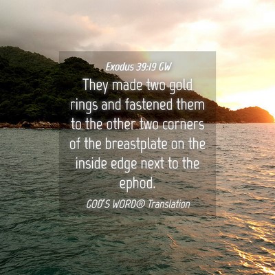 Picture 04 - Exodus 39:19 GW - They made two gold rings and fastened them to the - Bible Verse Picture