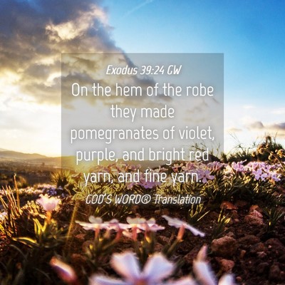 Picture 04 - Exodus 39:24 GW - On the hem of the robe they made pomegranates of - Bible Verse Picture