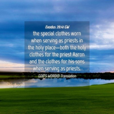 Picture 04 - Exodus 39:41 GW - the special clothes worn when serving as priests - Bible Verse Picture