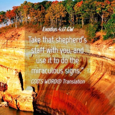 Picture 04 - Exodus 4:17 GW - Take that shepherd’s staff with you, and use it - Bible Verse Picture