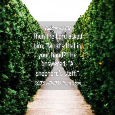 Picture 04 - Exodus 4:2 GW - Then the Lord asked him, “What’s that in your - Bible Verse Picture