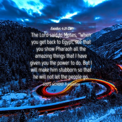 Picture 04 - Exodus 4:21 GW - The Lord said to Moses, “When you get back to - Bible Verse Picture