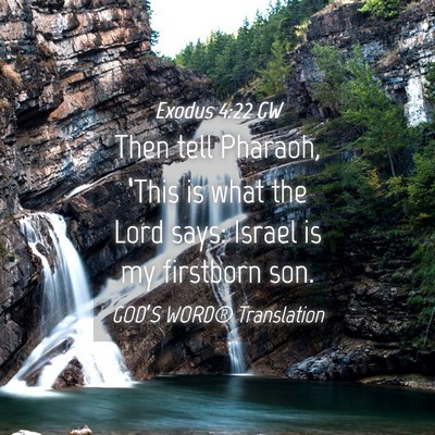 Picture 04 - Exodus 4:22 GW - Then tell Pharaoh, ‘This is what the Lord says: - Bible Verse Picture