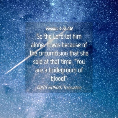 Picture 04 - Exodus 4:26 GW - So the Lord let him alone. It was because of the - Bible Verse Picture