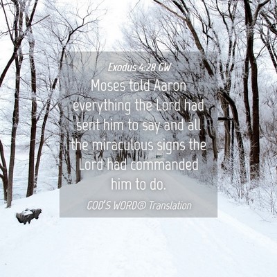 Picture 04 - Exodus 4:28 GW - Moses told Aaron everything the Lord had sent him - Bible Verse Picture