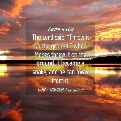 Picture 04 - Exodus 4:3 GW - The Lord said, “Throw it on the ground.” When - Bible Verse Picture