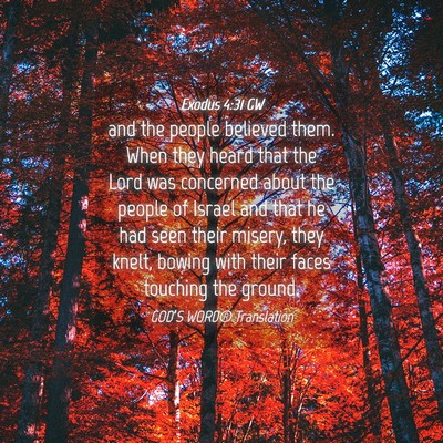 Picture 04 - Exodus 4:31 GW - and the people believed them. When they heard - Bible Verse Picture