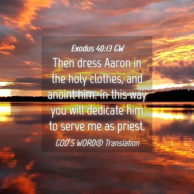 Picture 04 - Exodus 40:13 GW - Then dress Aaron in the holy clothes, and anoint - Bible Verse Picture