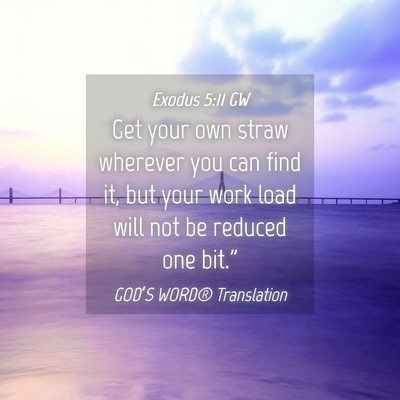 Picture 04 - Exodus 5:11 GW - Get your own straw wherever you can find it, but - Bible Verse Picture