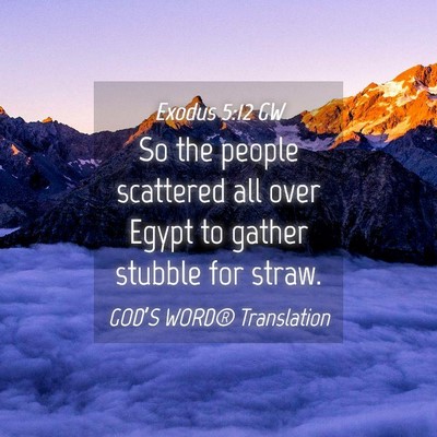 Picture 04 - Exodus 5:12 GW - So the people scattered all over Egypt to gather - Bible Verse Picture