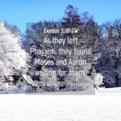 Picture 04 - Exodus 5:20 GW - As they left Pharaoh, they found Moses and Aaron - Bible Verse Picture