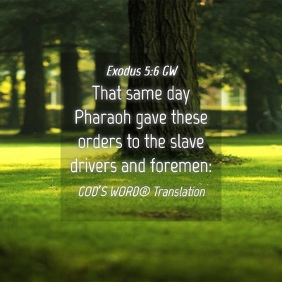 Picture 04 - Exodus 5:6 GW - That same day Pharaoh gave these orders to the - Bible Verse Picture