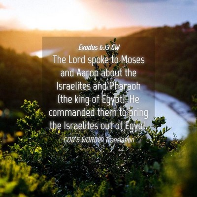 Picture 04 - Exodus 6:13 GW - The Lord spoke to Moses and Aaron about the - Bible Verse Picture