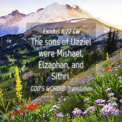 Picture 04 - Exodus 6:22 GW - The sons of Uzziel were Mishael, Elzaphan, and - Bible Verse Picture