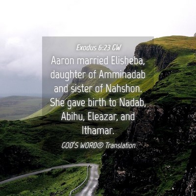 Picture 04 - Exodus 6:23 GW - Aaron married Elisheba, daughter of Amminadab and - Bible Verse Picture