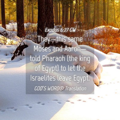 Picture 04 - Exodus 6:27 GW - They—this same Moses and Aaron—told Pharaoh - Bible Verse Picture