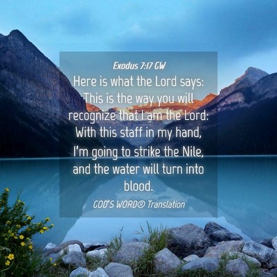 Picture 04 - Exodus 7:17 GW - Here is what the Lord says: This is the way you - Bible Verse Picture