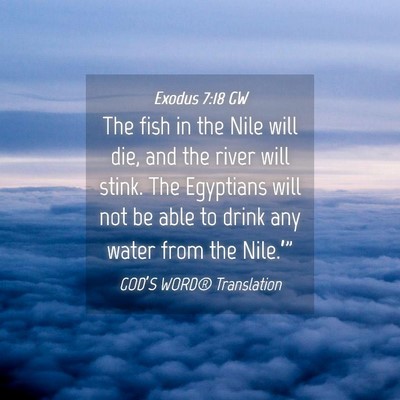 Picture 04 - Exodus 7:18 GW - The fish in the Nile will die, and the river will - Bible Verse Picture