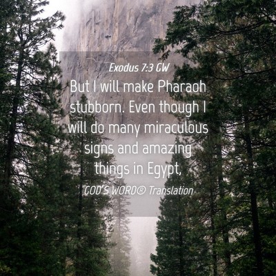Picture 04 - Exodus 7:3 GW - But I will make Pharaoh stubborn. Even though I - Bible Verse Picture