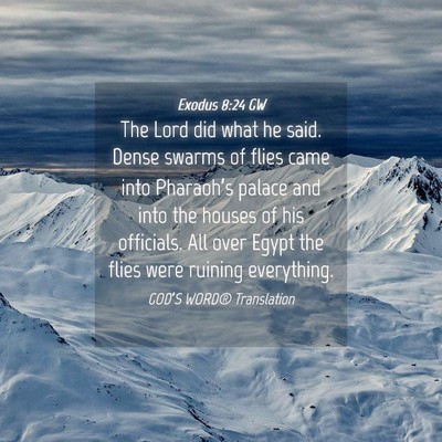 Picture 04 - Exodus 8:24 GW - The Lord did what he said. Dense swarms of flies - Bible Verse Picture