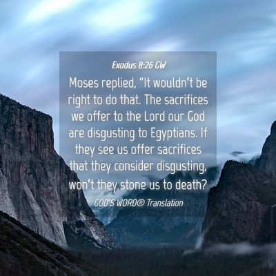 Picture 04 - Exodus 8:26 GW - Moses replied, “It wouldn’t be right to do - Bible Verse Picture