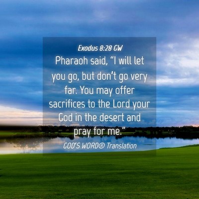 Picture 04 - Exodus 8:28 GW - Pharaoh said, “I will let you go, but don’t - Bible Verse Picture