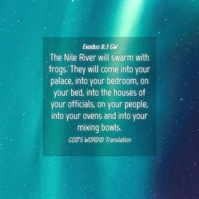 Picture 04 - Exodus 8:3 GW - The Nile River will swarm with frogs. They will - Bible Verse Picture