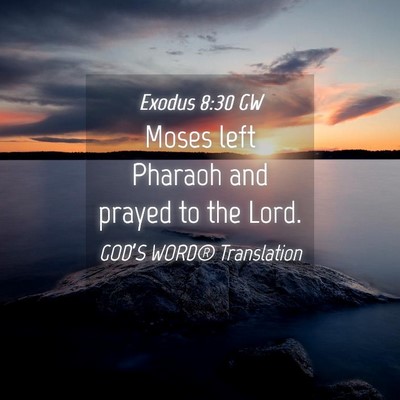 Picture 04 - Exodus 8:30 GW - Moses left Pharaoh and prayed to the - Bible Verse Picture