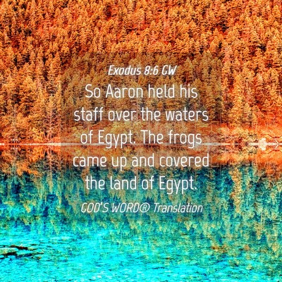 Picture 04 - Exodus 8:6 GW - So Aaron held his staff over the waters of Egypt. - Bible Verse Picture