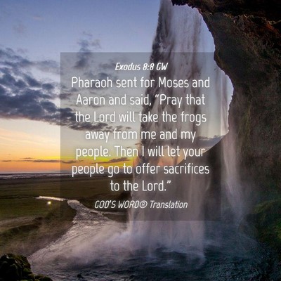 Picture 04 - Exodus 8:8 GW - Pharaoh sent for Moses and Aaron and said, - Bible Verse Picture