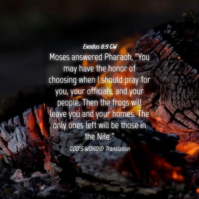 Picture 04 - Exodus 8:9 GW - Moses answered Pharaoh, “You may have the honor - Bible Verse Picture