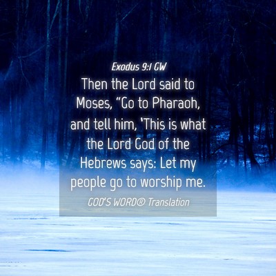 Picture 04 - Exodus 9:1 GW - Then the Lord said to Moses, “Go to Pharaoh, - Bible Verse Picture