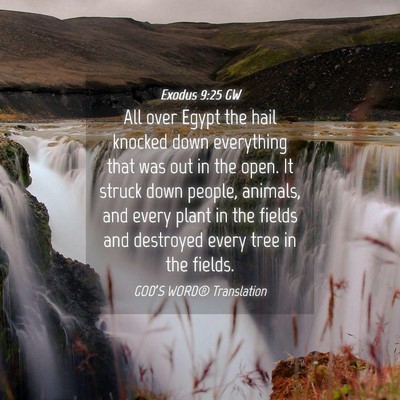Picture 04 - Exodus 9:25 GW - All over Egypt the hail knocked down everything - Bible Verse Picture