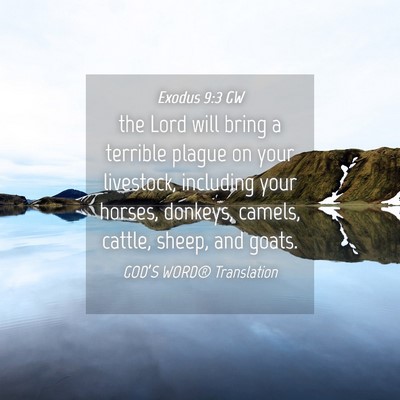 Picture 04 - Exodus 9:3 GW - the Lord will bring a terrible plague on your - Bible Verse Picture