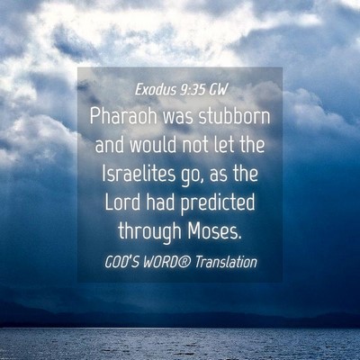 Picture 04 - Exodus 9:35 GW - Pharaoh was stubborn and would not let the - Bible Verse Picture