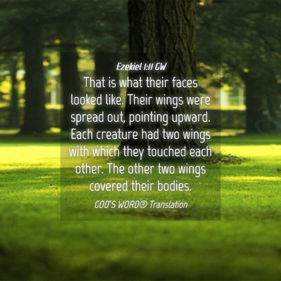 Picture 04 - Ezekiel 1:11 GW - That is what their faces looked like. Their wings - Bible Verse Picture