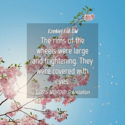 Picture 04 - Ezekiel 1:18 GW - The rims of the wheels were large and - Bible Verse Picture