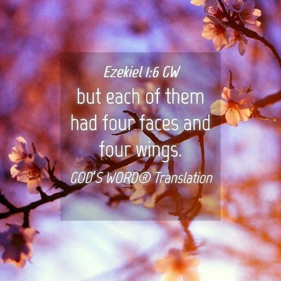 Picture 04 - Ezekiel 1:6 GW - but each of them had four faces and four - Bible Verse Picture