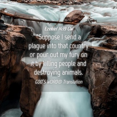 Picture 04 - Ezekiel 14:19 GW - “Suppose I send a plague into that country or - Bible Verse Picture