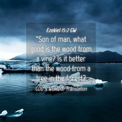 Picture 04 - Ezekiel 15:2 GW - “Son of man, what good is the wood from a vine? - Bible Verse Picture