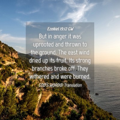 Picture 04 - Ezekiel 19:12 GW - But in anger it was uprooted and thrown to the - Bible Verse Picture