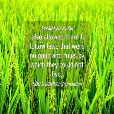 Picture 04 - Ezekiel 20:25 GW - I also allowed them to follow laws that were no - Bible Verse Picture
